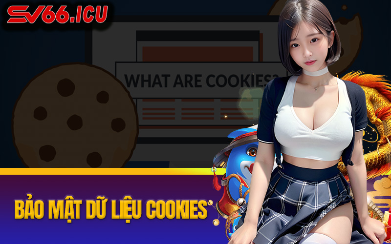 Những Quy Tắc Bảo Mật Đối Với Dữ Liệu Cookies